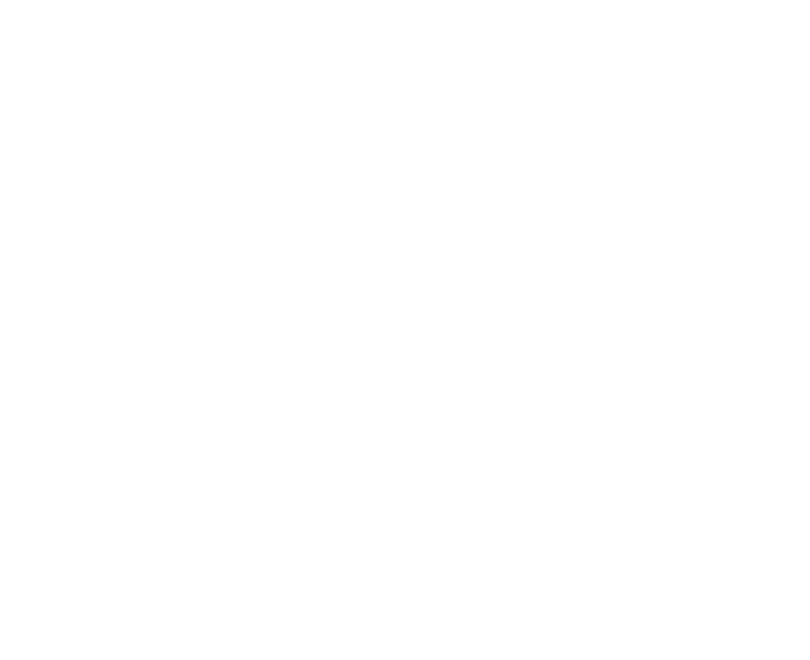 Poloroid