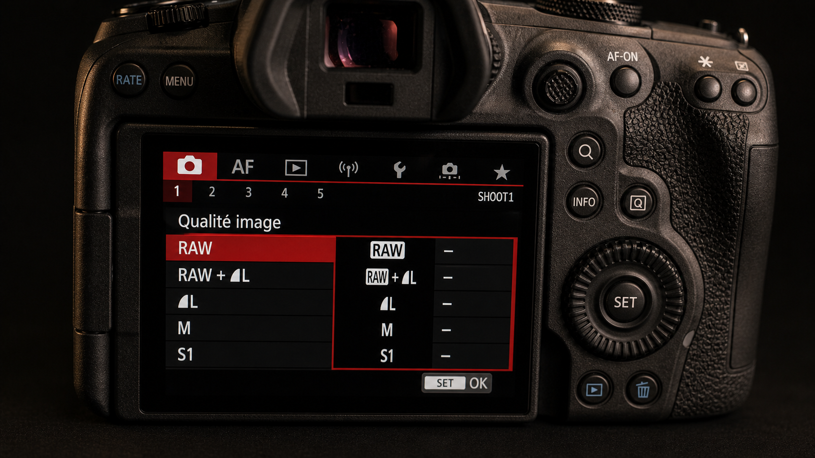 Comparaison RAW vs JPEG