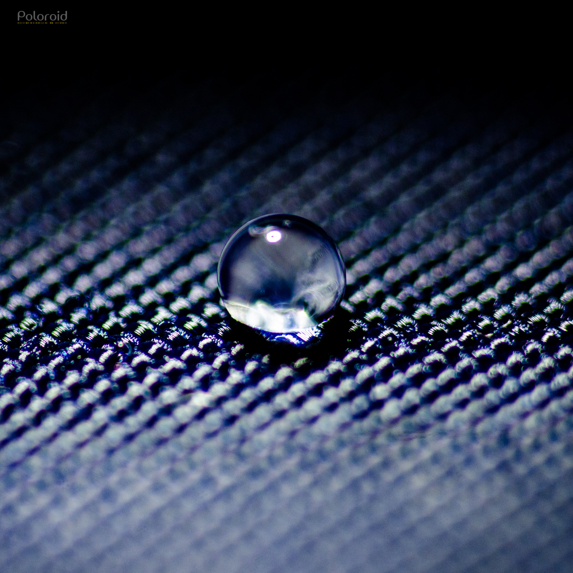 Macro de neige