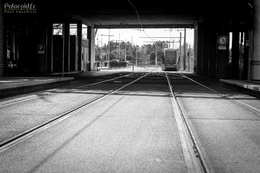 Sortie à Montpellier