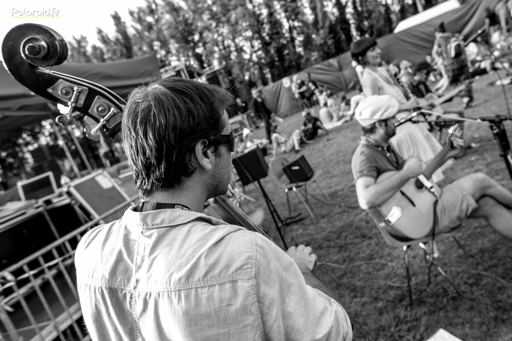 Festival de la Pelouse 2013